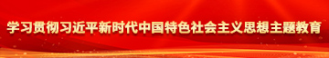 大黑吊日大黑逼视频学习贯彻习近平新时代中国特色社会主义思想主题教育